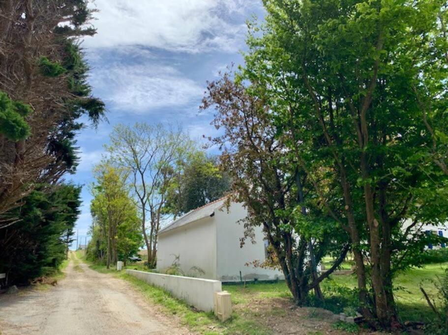 Maison Entre Terre Et *